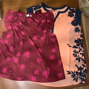 The Limited and Gap Blouse Combo